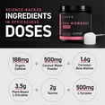thumbnail image 3 of Kaged, PRE-KAGED Sport, Pre-Workout, Watermelon, 9.31 oz (264 g), 3 of 8
