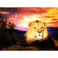 thumbnail image 1 of Diamond Painting (DE6131) 5D DIY Lion Square Mosaico hecho a mano (WT438) 30x40cm FLhrweasw Nuevo, 1 of 1