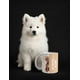 thumbnail image 3 of Taza de cerámica 445 ml con diseño ilustrado de perros, 3 of 7