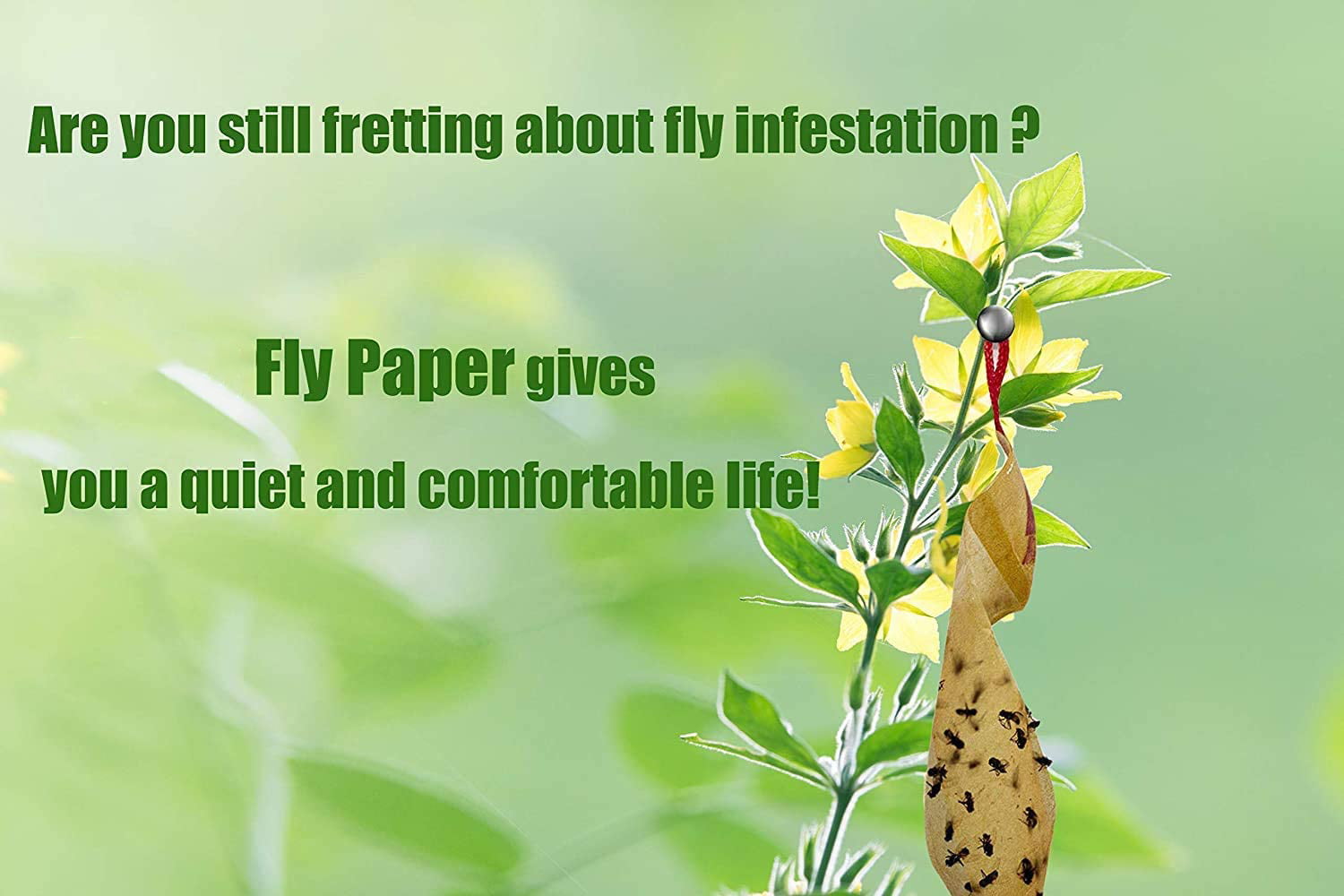 16 Rolls Fly Paper Strips - Fly Tapes Fly Paper Sticky Fly Trap  Indoor/Outdoor Hanging,Fly Catcher Fly Ribbon Fungus Gnat Trap Fruit Fly  Killer for Plants/House/Kitchen/Horse Stable (16) 
