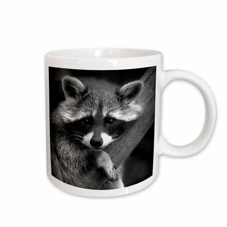 

3dRose Baby Raccoon black and white digital image. Ceramic Mug 11-ounce