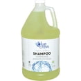 thumbnail image 2 of Blue Crew Hi-Foam Carpet and Upholstery Extraction Shampoo 1 Gallon, 2 of 3
