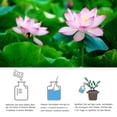 thumbnail image 4 of IMossad AquaPlant Fertilizer – Nutrient Booster for Aquatic Plants & Water Lilies with Mycelium Protein, 1 Pack, 4 of 7