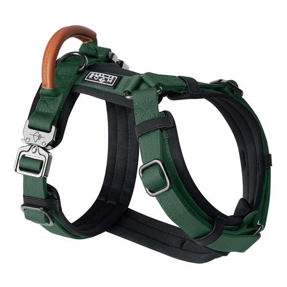 MADE TO ROAM Premium Explorer Harness - Y-Shaped Dog Harness with Adjustable Durable Nylon, Soft Padding, Metal Buckles and Leather Handle for Small,