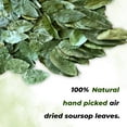 thumbnail image 4 of Ceylon Flavors Soursop Graviola Leaves Powder 3.5oz | 100g, 4 of 5