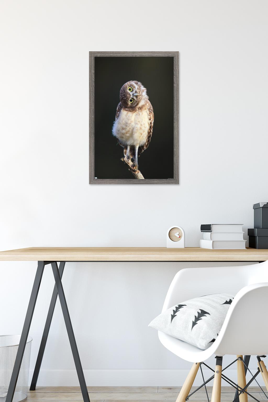 Curious Burrowing Owlet Wall Poster, 14.725" x 22.375" Framed