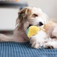 thumbnail image 3 of YaoZQ Squeaky Dog Ball, High Bounce TPR Chew Toy, Interactive Fetch Toy for Small Medium Dogs, Dental Cleaning, 2.55 inch, Random Color (1 pack), 3 of 8