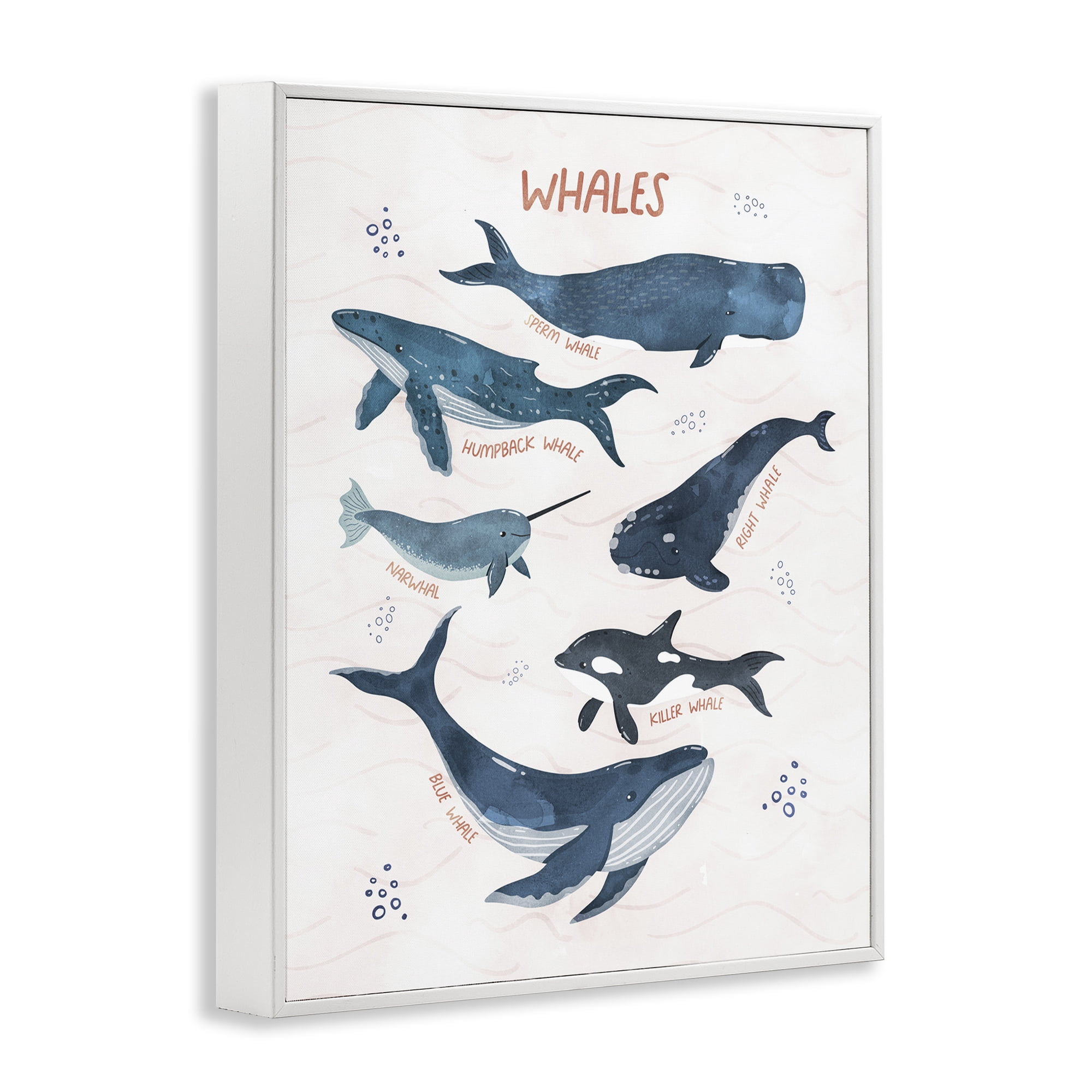 Stupell Industries Whales of the World Animals & Insects Painting White Framed Art Print Wall Art, 11 x 14