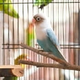 thumbnail image 2 of 5Pcs Natural Wood Bird Perch Stand Hanging Multi Branch Perch  Budgie Platform Bird Parakeet Toys For Parakeets Finches, 2 of 9
