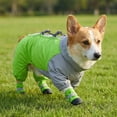 thumbnail image 4 of Raincoat With Full Cover And Four Legs All Weather Raincoat For Small To Medium, 4 of 4