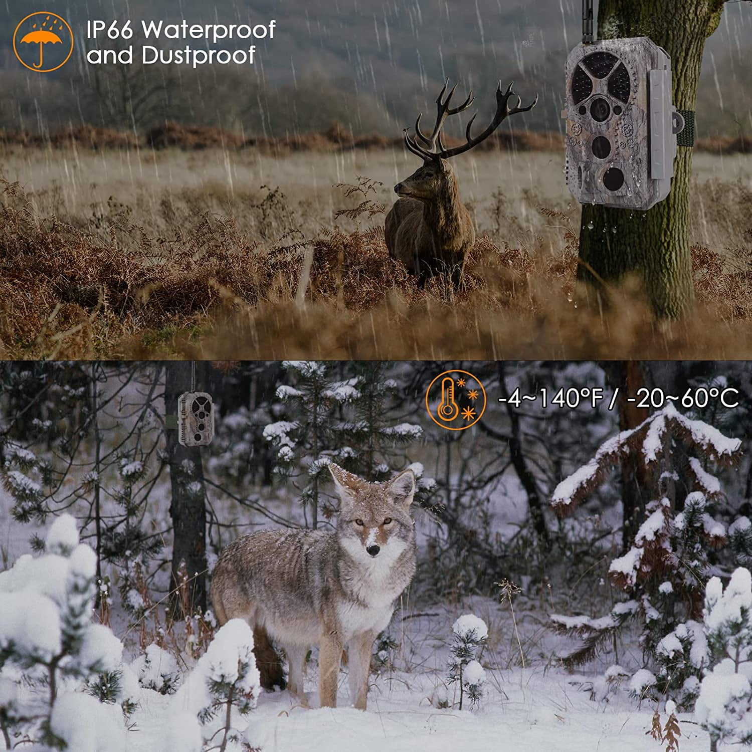 Bluetooth Wireless WiFi Game Trail Camera & Wildlife Deer Hunting Security Camera 32MP Picture 1296P Video Motion Activated Night Vision 100ft Black Flash Infrared 0.1s Trigger Speed IP66 Waterproof