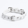 thumbnail image 1 of Collier pour Chien en Cuir ATHENS à une Rangée avec Strass, 1 of 3