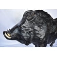 thumbnail image 5 of Nifao Lifesize Boar Made of Bronze, Statue – Outdoor Garden Decor Sculpture, 12"L x 50"W x 30"H, 5 of 10