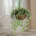 thumbnail image 5 of Morttic 3 Sets Artificial Bracketplant chlorophytum Silk Spider Flowers Bonsai Wall Hanging Plants for Home Decor, 5 of 7