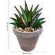 thumbnail image 4 of Naiovety 1x Mini acrílico Aloe planta en maceta decoración jardín adorno DIY decoración clásica Decoración, 4 of 6