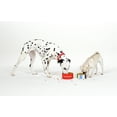 thumbnail image 3 of Plato de Acero Inoxidable Kate Spade New York Adventure Stripe Base Antideslizante 16oz para Perro P, 3 of 5