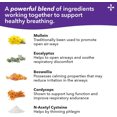thumbnail image 5 of Lung Capaci-T - Respiratory Support Supplement - CoQ10, N-Acetyl Cysteine, Boswellia, Eucalyptus, Mullein, Green Tea, Nettle & Peppermint - Increases Oxygen Capacity & Reduces Mucus - 90 Capsules, 5 of 7
