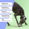 thumbnail image 5 of Small Whole Premium Wild Deer Antler Bone for Dogs by Good Trouble Pets, 5 of 7