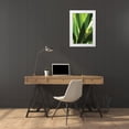 thumbnail image 4 of Erin Berzel 23x32 White Modern Wood Framed Wall Art Titled - Leaves and Light I, 4 of 5