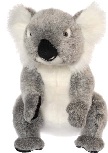 wild republic koala