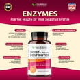 thumbnail image 4 of Healblend Digest+ Prebiotic + Probiotic Supplement - Support Digestive Enzymes, Gut Health & Bloating Relief for Women & Men, Vegan, Non-GMO, Gluten Free - 3-Pack, 4 of 10