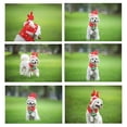 thumbnail image 4 of Disfraz navideño para mascotas, otoño e invierno, con astas de reno, gorro desmontable y bufanda, disfraz navideño para fiesta de festival de Navidad, 4 of 9