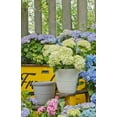 thumbnail image 3 of Mainstays Basic Bell Planter 8 inch Grey, Classic Design with Attached Tray Durable Weather Resistant  Matte Finish, 3 of 3