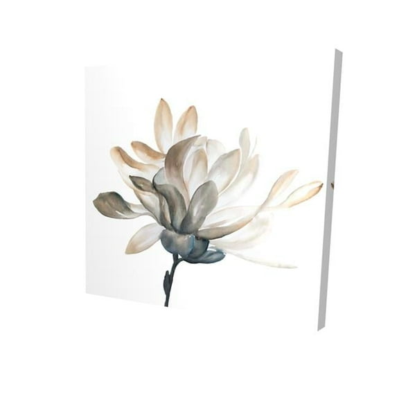 32 x 32 in. Softness-Print on Canvas