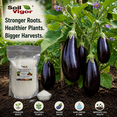 thumbnail image 4 of Soil Vigor Potassium Polyacrylate Water Storing Crystals Gel for Plants 1 Pound, 4 of 11