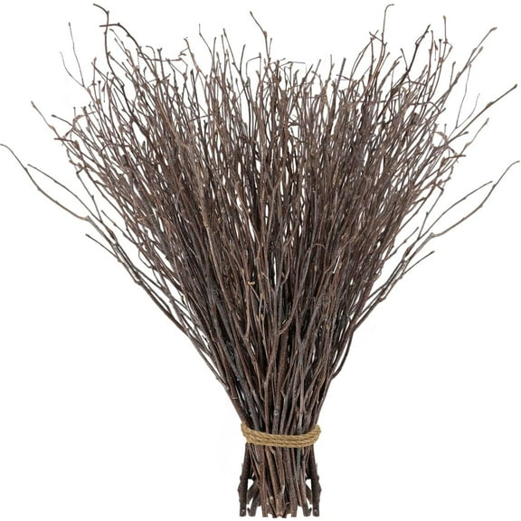 60Pcs Real Dried Birch Twigs Branches - 17” Natural Decorative Birch Branches for Easter Vases, Birch Sticks for DIY, Centerpiece, Floral Arrangment, Twig Wreath, Rustic Home Decor