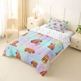 thumbnail image 2 of Erosebridal Brown Cartoon Capybara Twin Comforter Sets,Colorful 3D Stars Pattern Bedding Set For Kids Teens Reversible 2 Pieces, 2 of 7