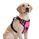thumbnail image 1 of Chaleco reflectante para perros Rabbitgoo, tamaño mediano, sin tirones, rosa M, 1 of 5