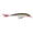 Silver, variant on Rapala X Rap 10 7/16oz Silver