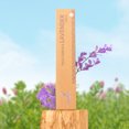 thumbnail image 4 of Incienso Aromático Artesanal Palo Santo y Lavanda Tranquilidad 100% Vegano para Hogar, Oficina y Meditación 3 PACK, 4 of 5