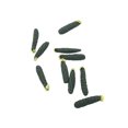 thumbnail image 1 of 10Pcs Mini House Toys Miniature Cucumbers Simulation Fruits Vegetables Model Toys Mini Kitchen Furnishing Decoration, 1 of 9
