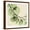 Brown Frame, variant on Art.com Mint Eucalyptus 2 Stretched Canvas Print Wall Art by Albert Koetsier, 24" x 24"