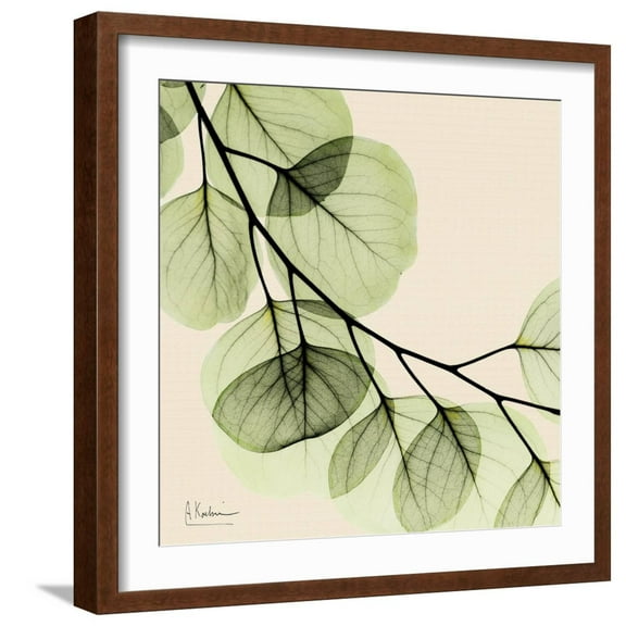 Art.com Mint Eucalyptus 2 Art Print by Albert Koetsier, Brown Frame Wall Art, 21" x 21"