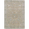 thumbnail image 2 of Addison Rugs Chantille Indoor/Outdoor Traditional Global Beige Machine Washable Rectangle Rug, 5' x 7'6", 2 of 8