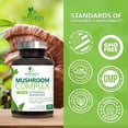 thumbnail image 5 of Mushroom Brain Supplement 10 in 1 Blend - High Strength Mushroom Complex with Lions Mane, Turkey Tail, Reishi, Cordyceps, Chaga & Brain Nootropic Complex for Memory & Focus Support - 120 Capsules, 5 of 10