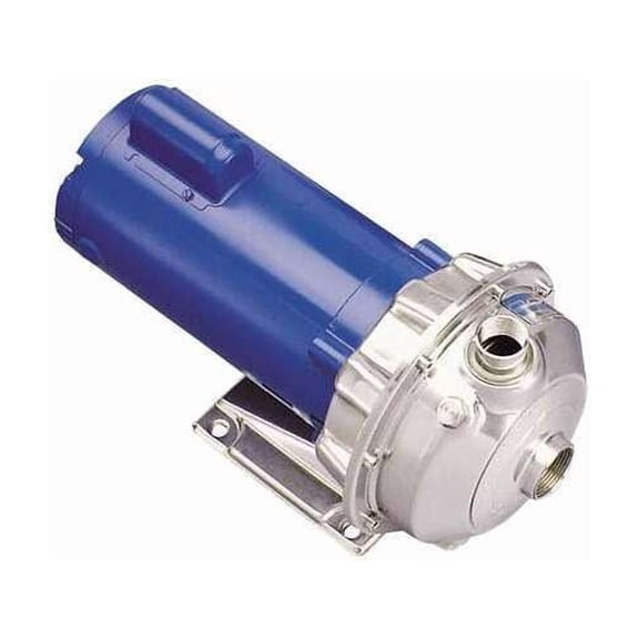 Goulds Water Technology Straight Centrifugal Pump 2ST1G9G4