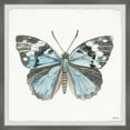 thumbnail image 2 of Parvez Taj Print Nature Framed Art Prints, 2 of 6