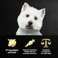 thumbnail image 6 of Cesar Small Breed Porterhouse Flavor And Spring Vegetables Dry Dog Food Adult, 5 Lb. Bag, 6 of 10