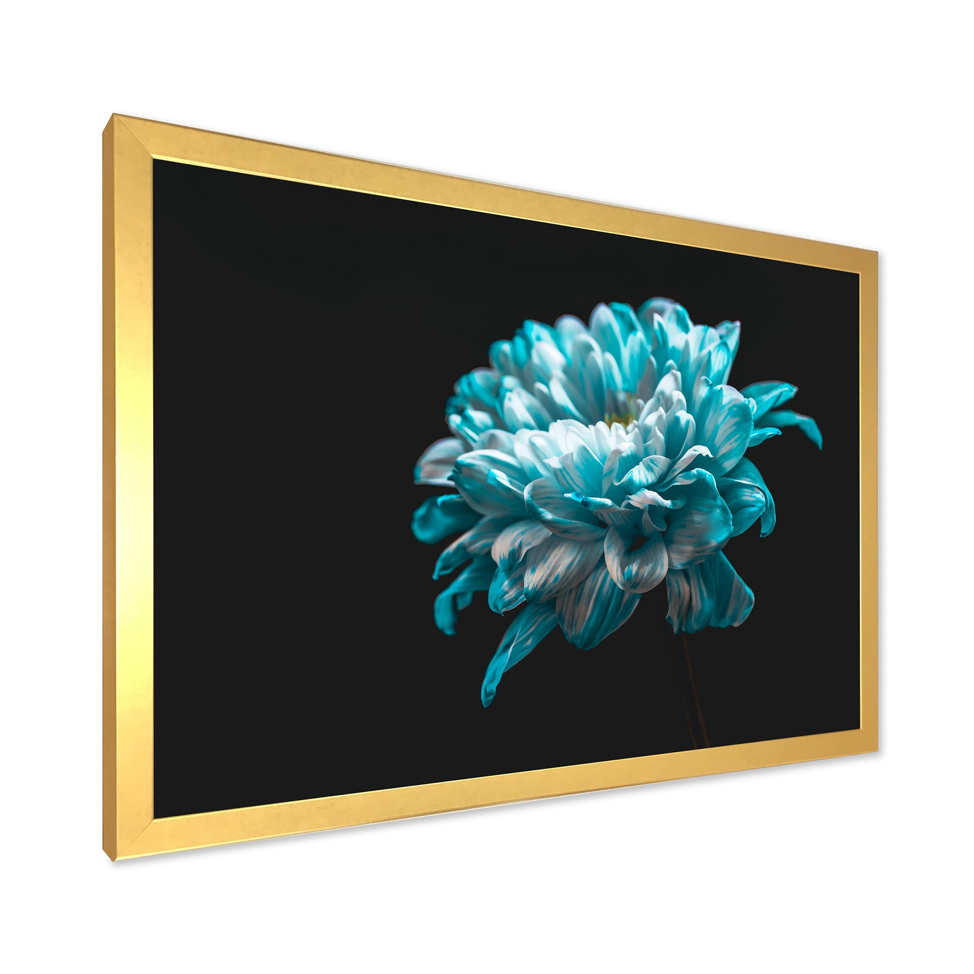 Designart 'Close Up Of White and Pure Blue Daisy Flower II' Traditional Framed Art Print
