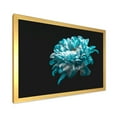 thumbnail image 2 of Designart 'Close Up Of White and Pure Blue Daisy Flower II' Traditional Framed Art Print, 2 of 4