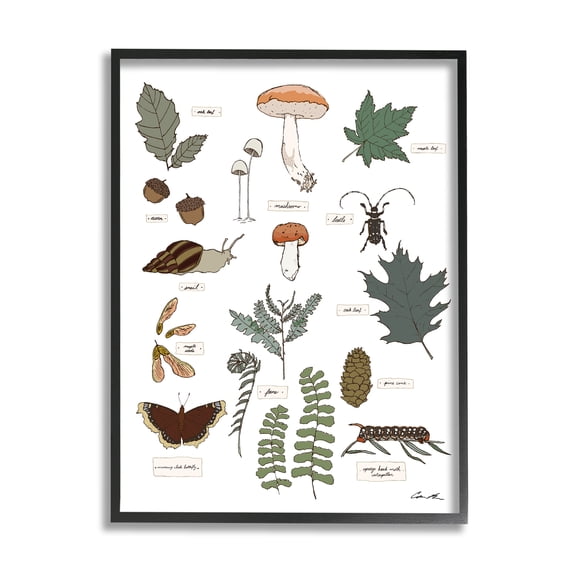 Stupell Industries Woodland Nature Studies Botanical & Floral Painting Black Framed Art Print Wall Art, 11 x 14
