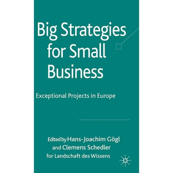 Big Strategies for Small Business: Exceptional Projects in Europe, (Hardcover)