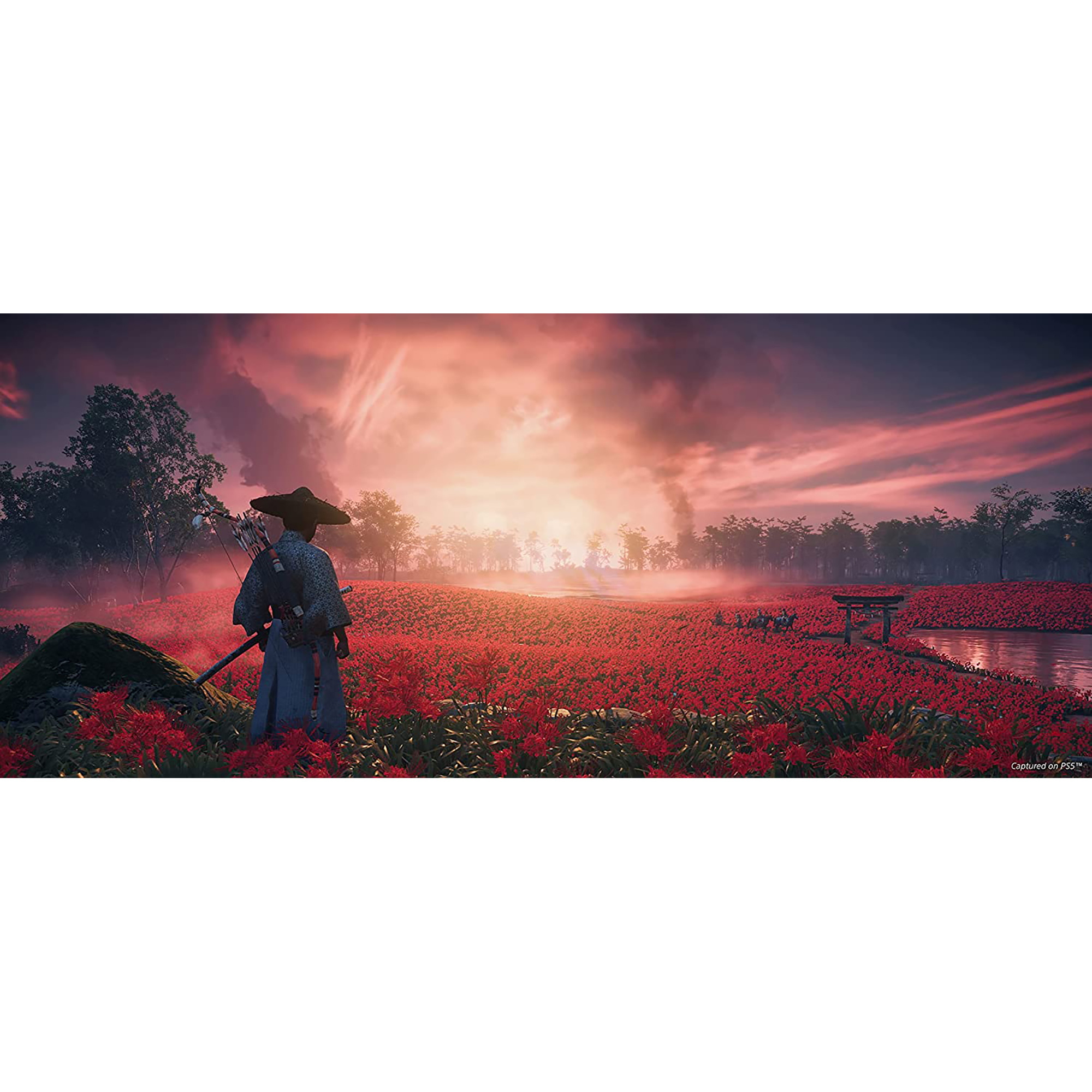 Ghost of Tsushima: Director's Cut - PlayStation 5 6