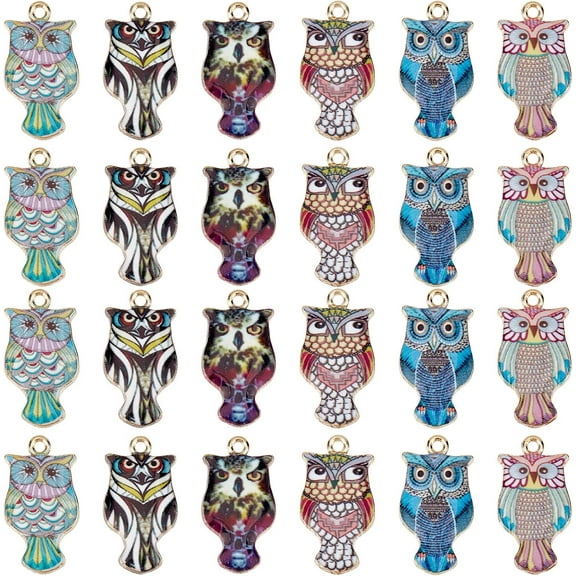 1 Box 36Pcs Owl Charms Owls Charms Halloween Owl Enamel Charms Colorful Magic Abstract Flying Animals Alloy Charm for Jewelry Making Charm Necklace Bracelet Earring DIY Craft Supplies Adult DIY