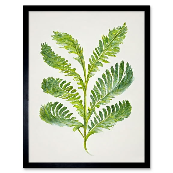 Royal Fern Leaf Modern Watercolour Botanical Art Print Framed Poster Wall Decor 12x16 inch