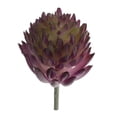 thumbnail image 3 of Artificial Echeveria Flower, 3 of 9